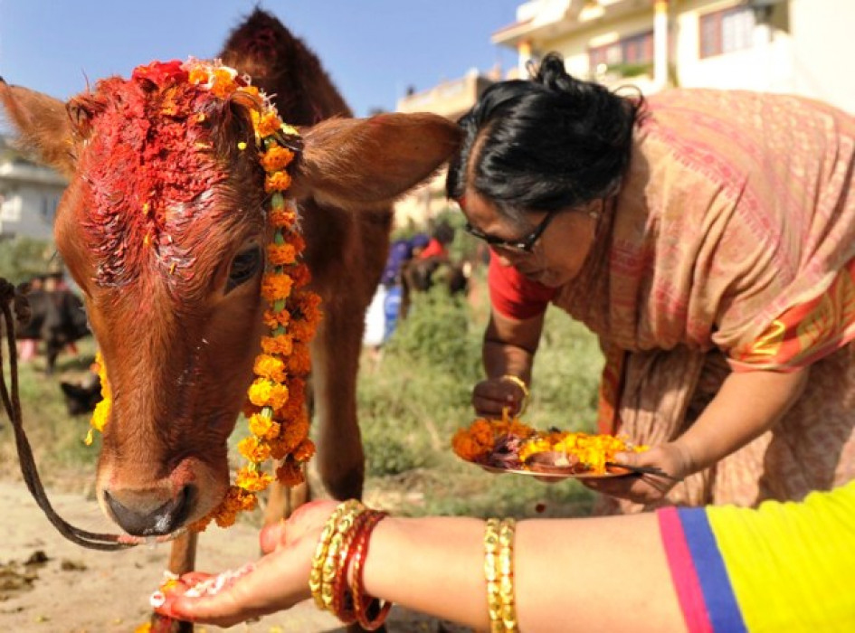 Sajilo Khoj