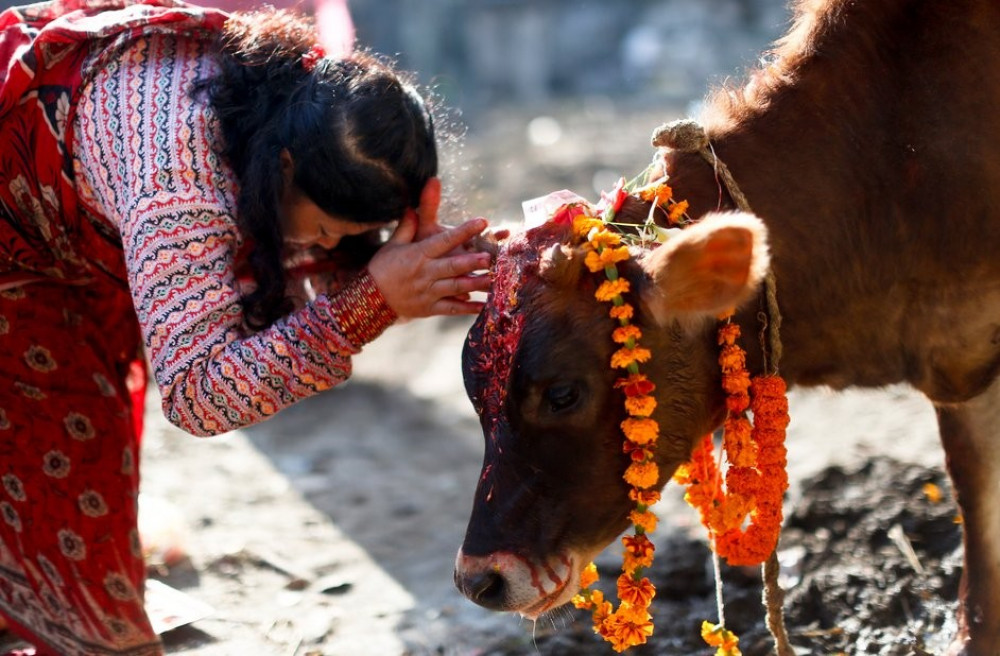 Sajilo Khoj