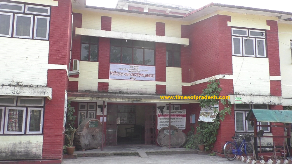 झापामा सामुदायिक वनका अध्यक्षसहित आठजना पक्राउ, नाम गोप्य राखेर अनुसन्धान गर्दै डिभिजन वन